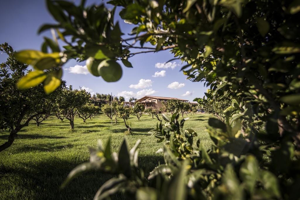 Agriturismo Il Giriatello Crotone Dış mekan fotoğraf