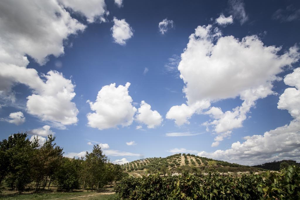 Agriturismo Il Giriatello Crotone Dış mekan fotoğraf
