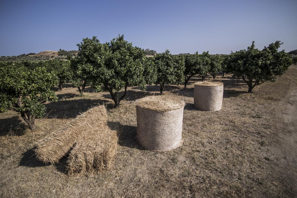 Agriturismo Il Giriatello Crotone Dış mekan fotoğraf