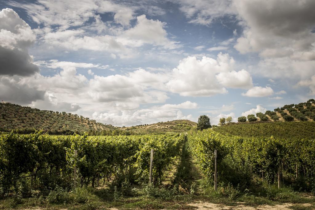 Agriturismo Il Giriatello Crotone Dış mekan fotoğraf
