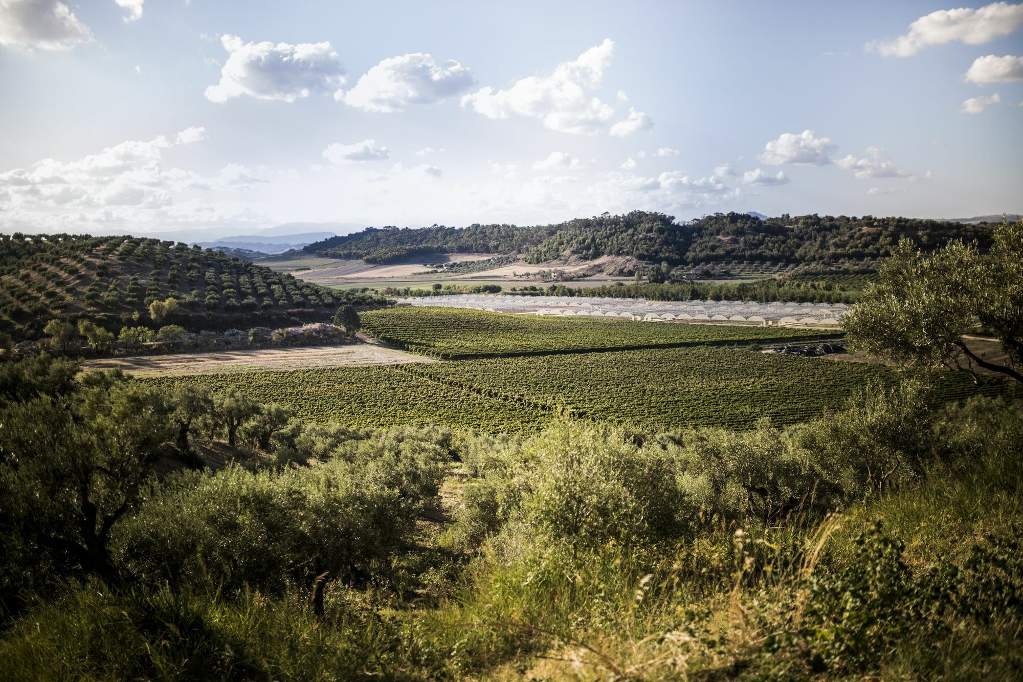 Agriturismo Il Giriatello Crotone Dış mekan fotoğraf