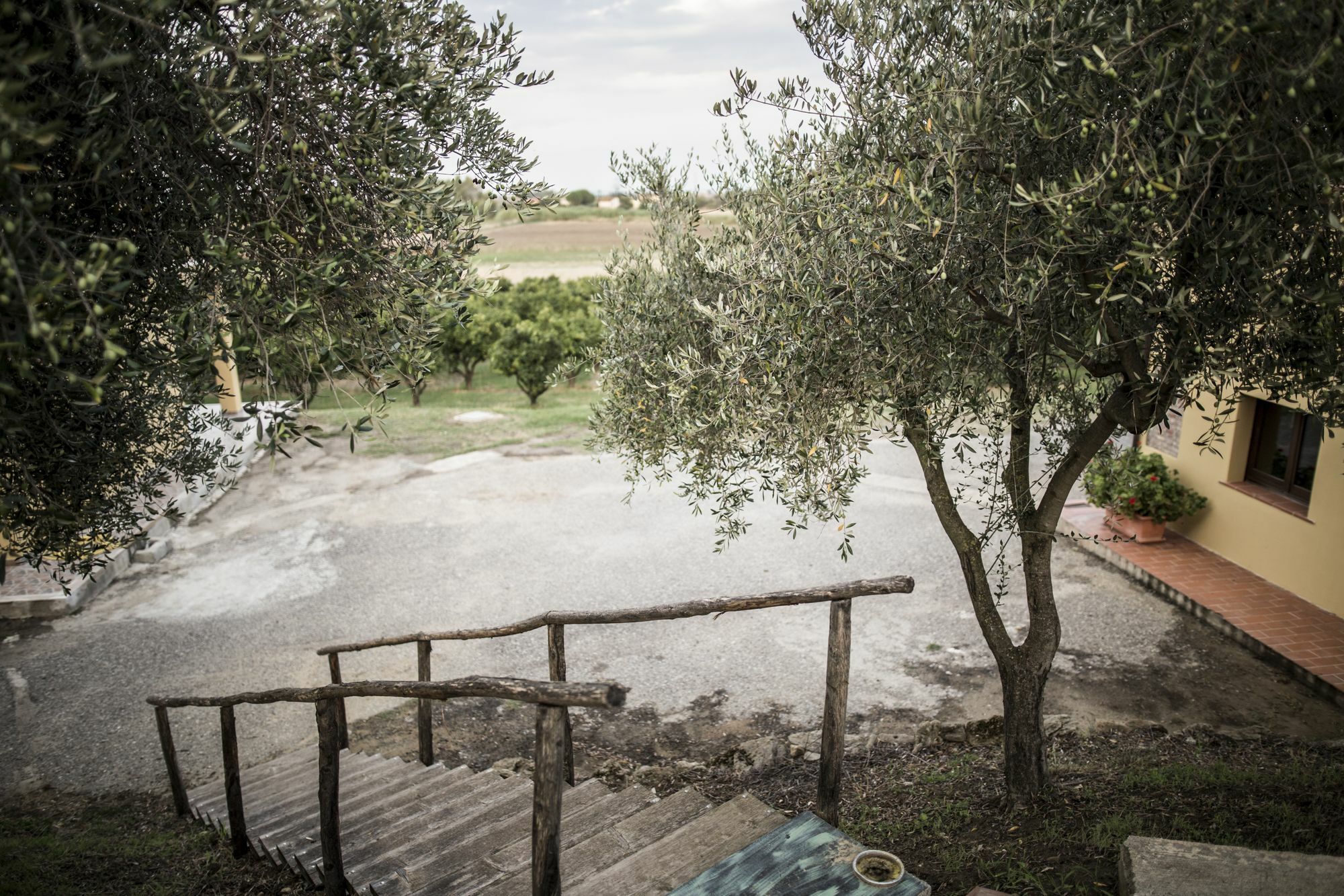 Agriturismo Il Giriatello Crotone Dış mekan fotoğraf